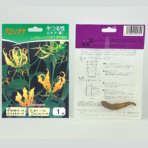 グロリオサ ルテア(黄)【球根】1球入り袋詰め...の詳細画像1