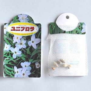 イフェイオン ユニフローラ(淡青)【球根】6球入りの詳細画像1