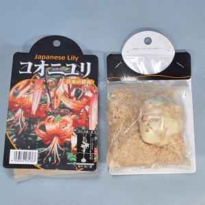 ユリ コオニユリ(橙/黒点)【球根】1球入り袋...の詳細画像1