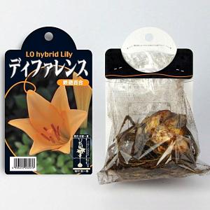 ユリ ハイブリッドリリー ディファレンス【球根...の詳細画像1