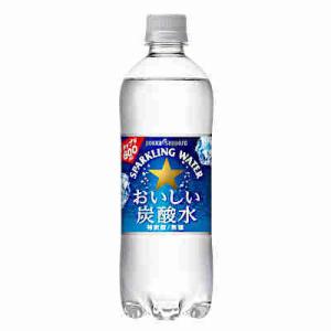 おいしい炭酸水 ポッカサッポロ 600ml ペット 24本入｜daihei