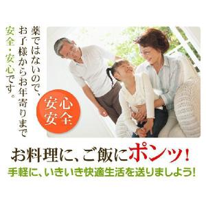 えのき氷 10袋×12キューブ 40日分 正規...の詳細画像3