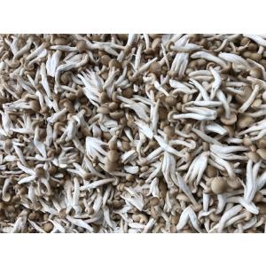 国産生鮮ぶなしめじほぐし１０Kバラ/ケース 業務用 一般のお客様も歓迎　代引不可