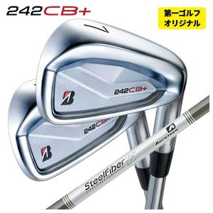RAZZLE DAZZLE ラズルダズル CSI-CC FORGED アイアン (5-PW 6本組
