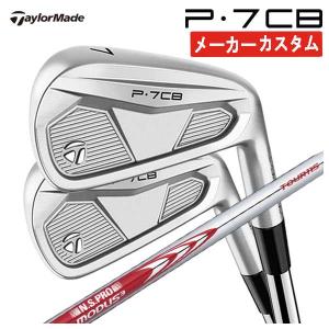 Titleist（タイトリスト） T100アイアン 6本セット NS.PRO.MODUS