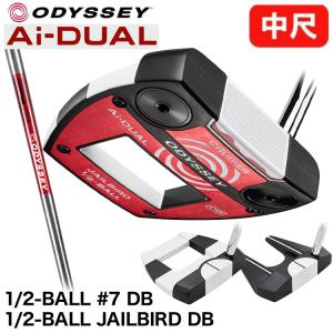 【中尺】オデッセイ Ai-DUAL CRUISE...の商品画像
