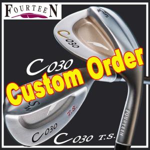 特注カスタムクラブ フォーティーン C030/C030T.S. ウェッジ N.S.PRO MODUS3WEDGE シャフト