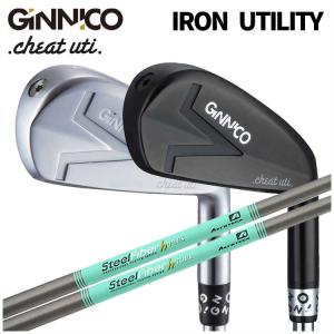 GINNICO ジニコ IRON UTILITY アイアン型ユーティリティ N.S.PRO