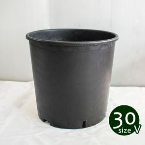 ナーセリーポット10号