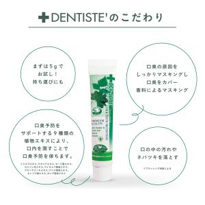 歯磨き粉 公式 デンティス チューブタイプ 5...の詳細画像3
