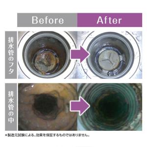 ヌメリトルネード 排水管洗浄タブレット 50粒...の詳細画像3