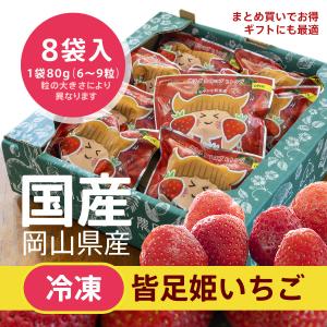 冷凍フルーツ icca 8袋入（皆足姫いちご）｜daiki-foods