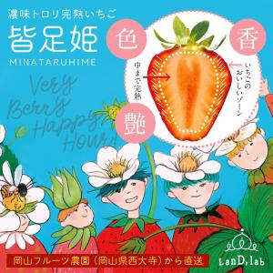 いちご の国 ギフト[ L サイズ(49粒)]...の詳細画像1
