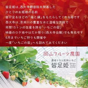いちご の国 ギフト[ L サイズ(49粒)]...の詳細画像4