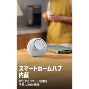 エコードット マックス echo dot ma...の詳細画像4