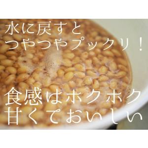 大豆 1kg 国産 熊本県産 フクユタカ ふく...の詳細画像3
