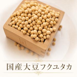 ソイリッチ公式厳選！フクユタカ 3kg 熊本県産 国産大豆 ショップ