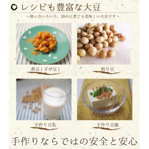 大豆 2kg 国産 熊本県産 フクユタカ ふく...の詳細画像4