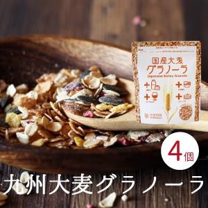 大麦グラノーラ 国産 送料無料 0g X4袋入り ヨーグルト はちみつ 朝食 ダイエット Gura03 味噌の中山大吉商店 通販 Yahoo ショッピング
