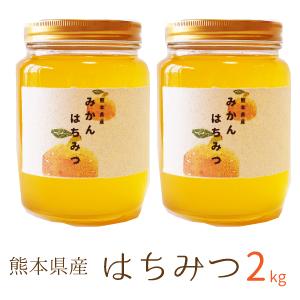 はちみつ 2kg (1kg x2)  ハチミツ 非加熱 純粋蜂蜜 熊本県産 国産 純粋はちみつ はぜ...