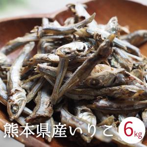 食べるいりこ 無添加 3kg 熊本県天草産 煮干し いりこ おやつ 食べる煮干し 健康おやつ おつま...