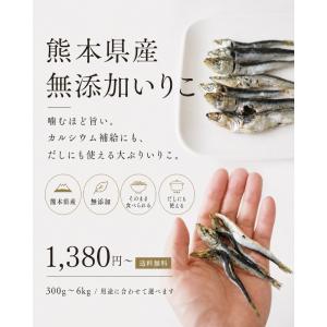 煮干し いりこ 無添加 熊本県産 食べる煮干し...の詳細画像1