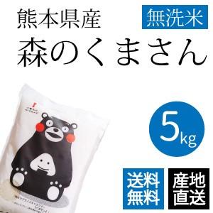 森のくまさん 無洗米 5kg 熊本県産 令和5年産 新米 くまモン米 ギフトとして当店人気1位のお米...