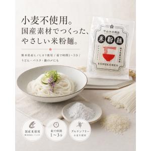 米粉麺 6個入り グルテンフリー 無添加 国産...の詳細画像1