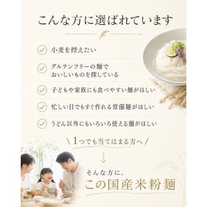 米粉麺 6個入り グルテンフリー 無添加 国産...の詳細画像2