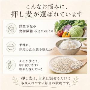 押し麦 押麦 1kg 佐賀県産 無添加 麦ご飯...の詳細画像3