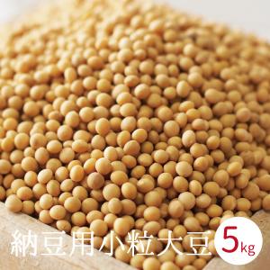 納豆用小粒大豆 5kg 国産 ゆきしずか ユキシズカ 北海道産