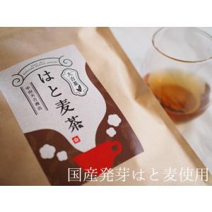 ハトムギ茶 はと麦茶 ティーバッグ 国産 水出...の詳細画像1