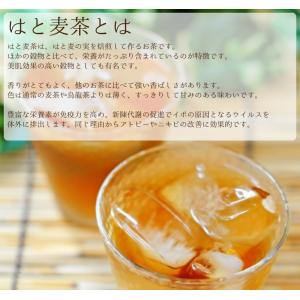 ハトムギ茶 はと麦茶 ティーバッグ 国産 水出...の詳細画像2