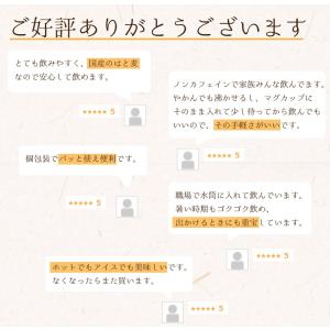 ハトムギ茶 はと麦茶 ティーバッグ 国産 水出...の詳細画像3