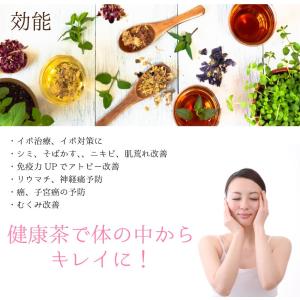 ハトムギ茶 はと麦茶 ティーバッグ 国産 水出...の詳細画像5