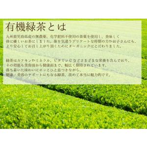 水出し有機緑茶 ティーバッグ オーガニック 国...の詳細画像2