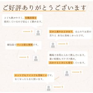 水出し有機緑茶 ティーバッグ オーガニック 国...の詳細画像3