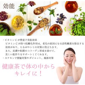 水出し有機緑茶 ティーバッグ オーガニック 国...の詳細画像5
