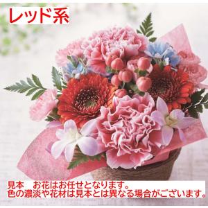 花 生花 クール便可 お任せ フラワーアレンジ...の詳細画像2