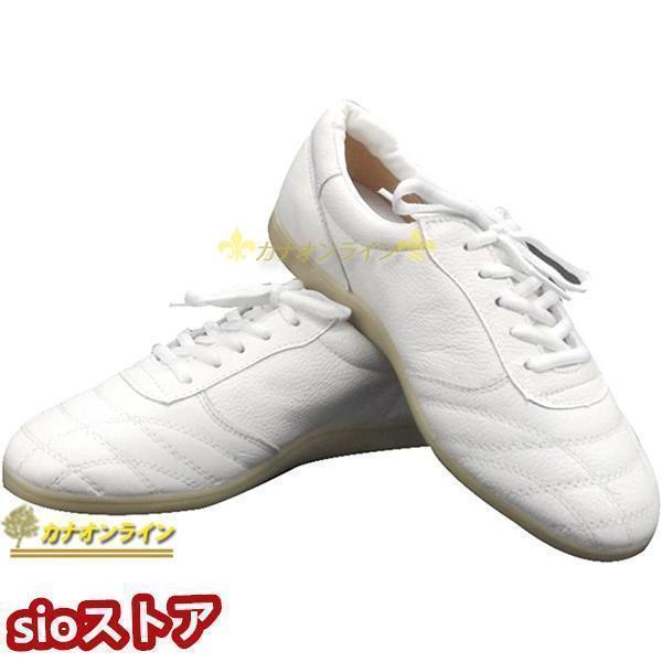 ウーシュー 太極拳シューズ 武術 靴 ソフトレザー スニーカー 牛筋ソール カンフー テコンドー 気...