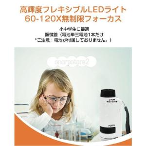 顕微鏡 小学生 ミニ顕微鏡セット ハンディ顕微...の詳細画像3