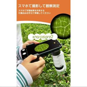 顕微鏡 小学生 ミニ顕微鏡セット ハンディ顕微...の詳細画像4
