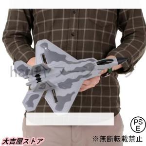 ラジコン RC 飛行機 F-22 ラプターモデル...の商品画像