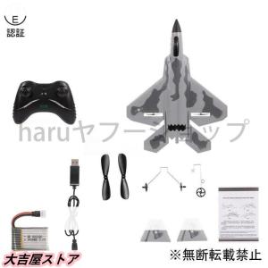 ラジコン RC 飛行機 F-22 ラプターモデ...の詳細画像5