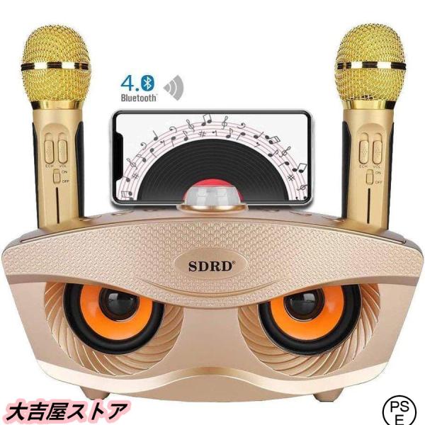 手持ちマイク2本セット Bluetooth カラオケマイク ワイヤレスマイク多機能 ノイズキャンセリ...