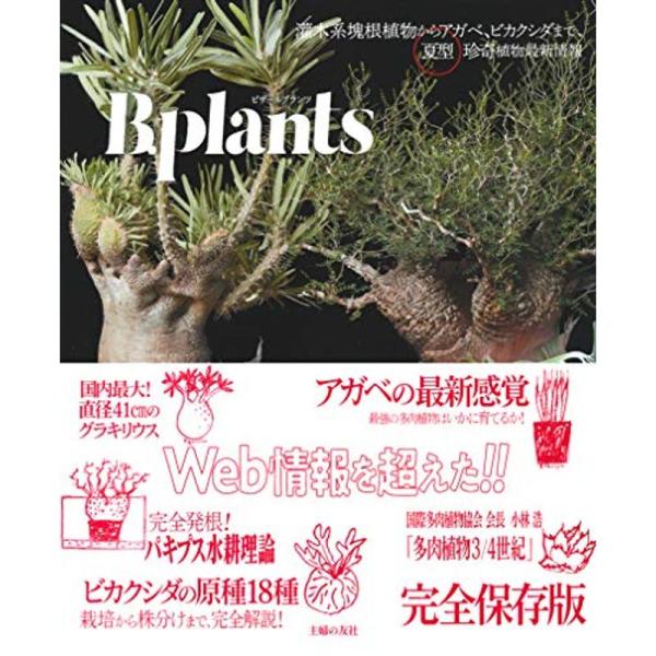 ビザールプランツ ? 灌木系塊根植物からアガベ、ビカクシダまで、夏型珍奇植物最新情報