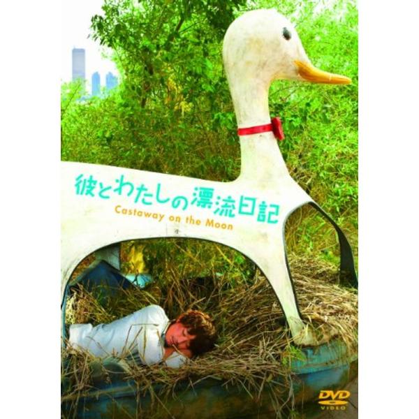 彼とわたしの漂流日記 DVD