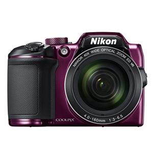ニコンD 【撮影枚数 642 枚】Nikon D500 ボディ : 千石カメラ