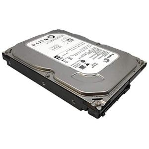 Seagate 3.5インチ内蔵HDD 500GB SATA 6Gb/s 7200rpm 16MB ST500DM002｜daikokuya-store5