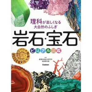 理科が楽しくなる大自然のふしぎ 岩石・宝石ビジュアル図鑑｜daikokuya-store5